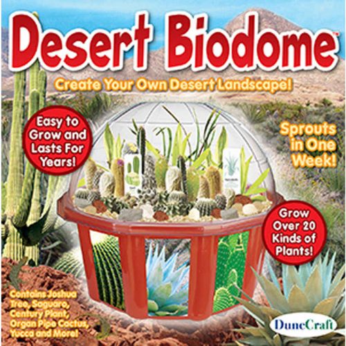 DESERT BIODOME TERRARIUM