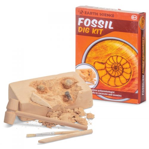 FOSSIL DIG KIT