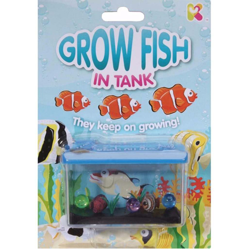 fish tank that grow vegetables modern