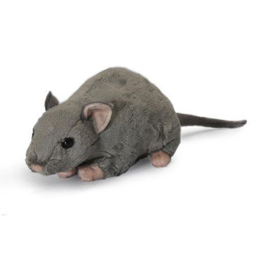 Rat with Squeak | Toys | Toy Street UK